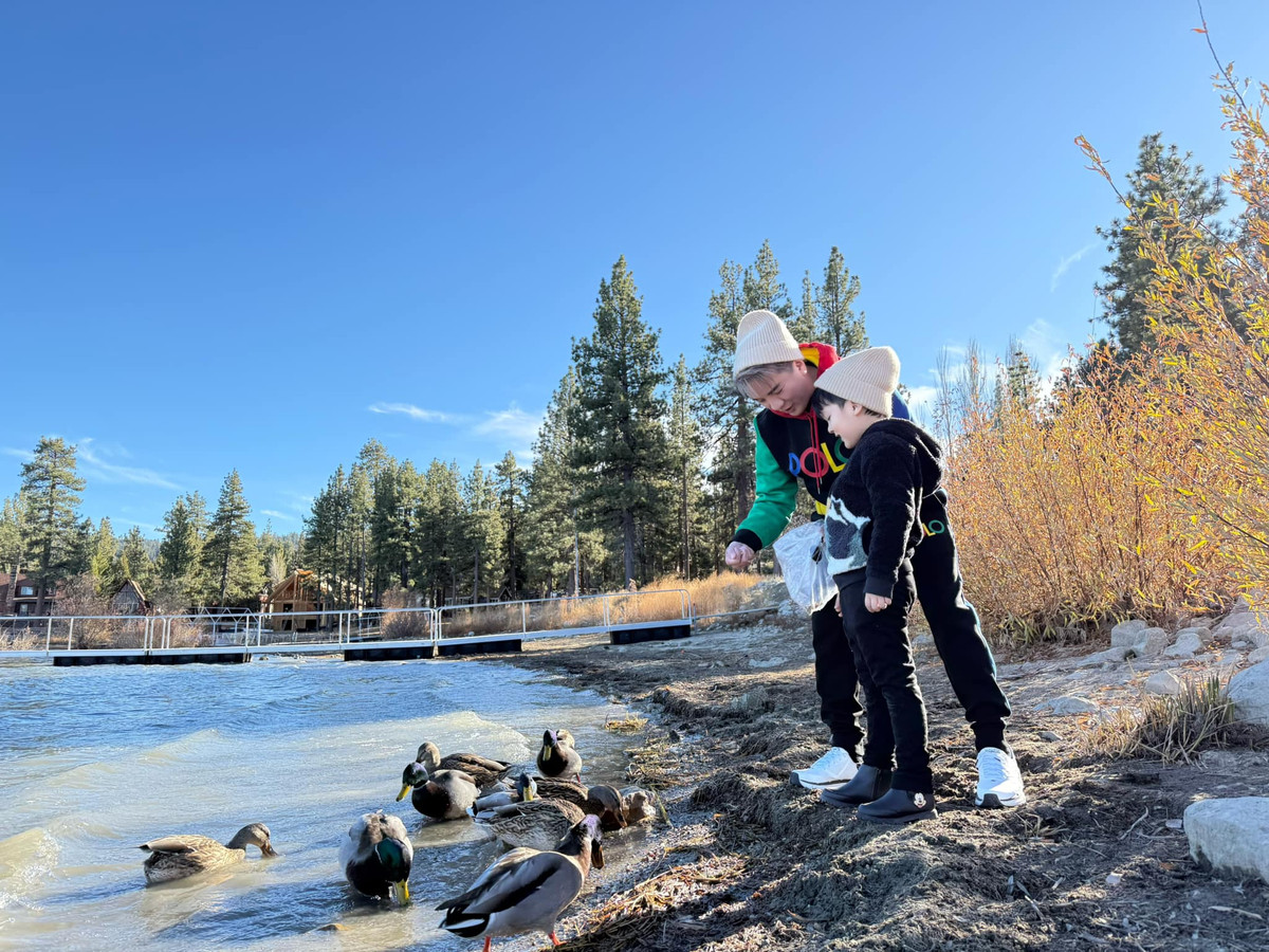 Những hình ảnh ghi lại khoảnh khắc Đàm Vĩnh Hưng và con trai cùng nhau chơi đùa, hái quả, nghịch tuyết đã nhanh chóng nhận được sự quan tâm của đông đảo khán giả. Ảnh: FB Dam Vinh Hung
