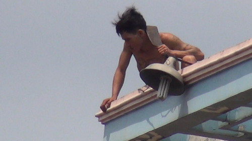 TP HCM: Hon 5 gio “nghet tho” voi ke ngao da mua dao-Hinh-2