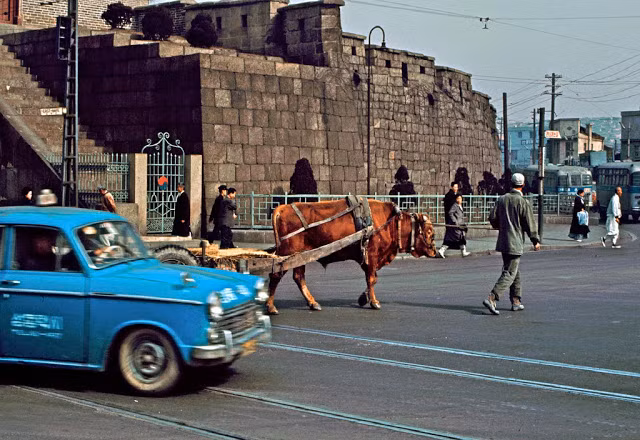 Trong chuyến thăm Seoul vào giữa những năm 1960, nhiếp ảnh gia Stephen Dreher đã ghi lại những bức ảnh phần nào giúp độc giả hiểu thêm về cuộc sống ở thủ đô Seoul hàng chục năm về trước. Ảnh: VT.