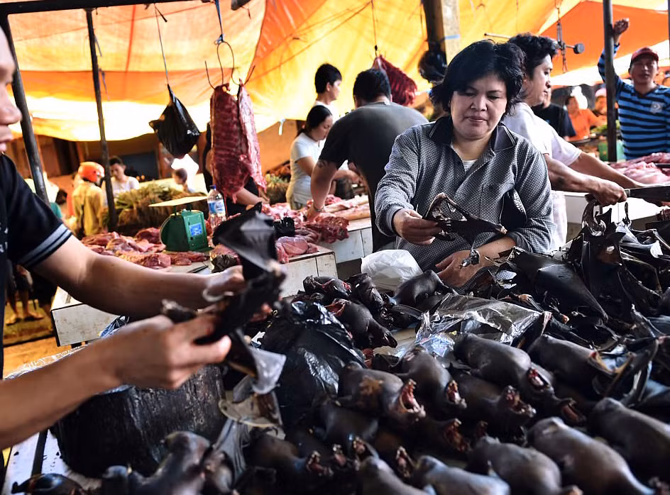 Gian hàng bày bán thịt dơi.