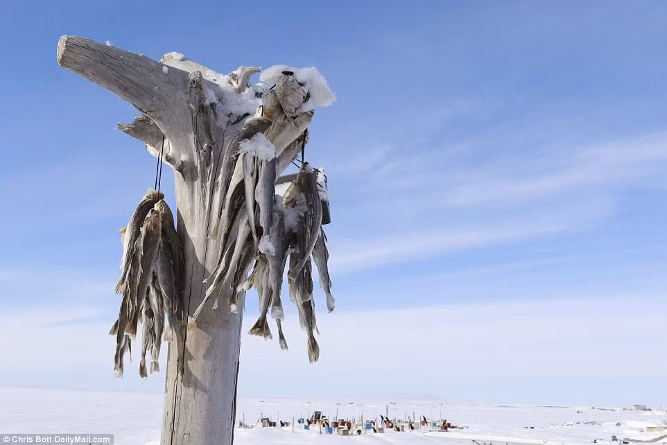 Người dân trong làng có thể đánh bắt hải cẩu, cua cá,... Ảnh: DM.