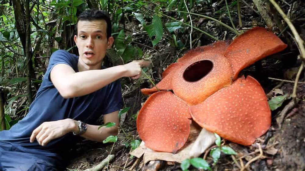 Nhung su that kinh ngac ve dat nuoc Malaysia-Hinh-9