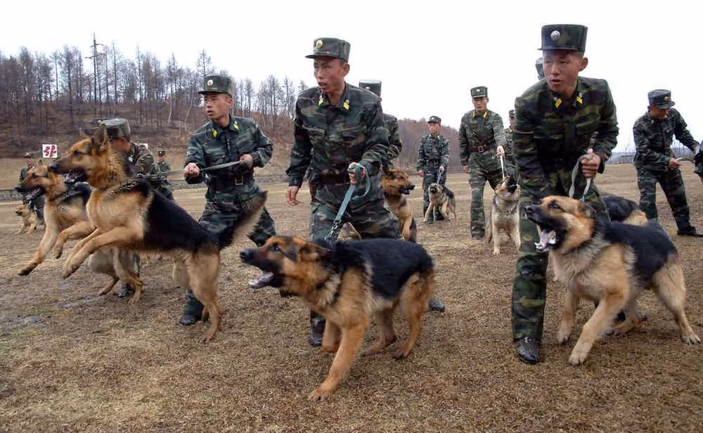 Nhung su that Trieu Tien khong muon nguoi ta biet-Hinh-2
