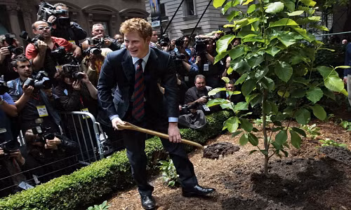 Hoàng tử Anh cười tươi trong lúc trồng cây tại khu vực Quảng trường Hanover, New York, ngày 29/5/2009. Ảnh: WP.