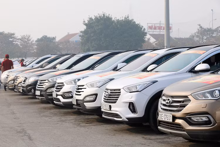 Tại buổi sinh nhật lần 3 của FeClub, số lượng thành viên tham gia chương trình năm nay khá đông đảo, đa dạng về màu sắc cũng như đời xe đã tạo nên một đoàn xe hoành tráng khi lưu thông trên đường. Cùng với tinh thần nghiêm chỉnh chấp hành luật lệ giao thông, đoàn xe luôn di chuyển thành hàng lối và tuân theo các chỉ dẫn của Ban tổ chức.