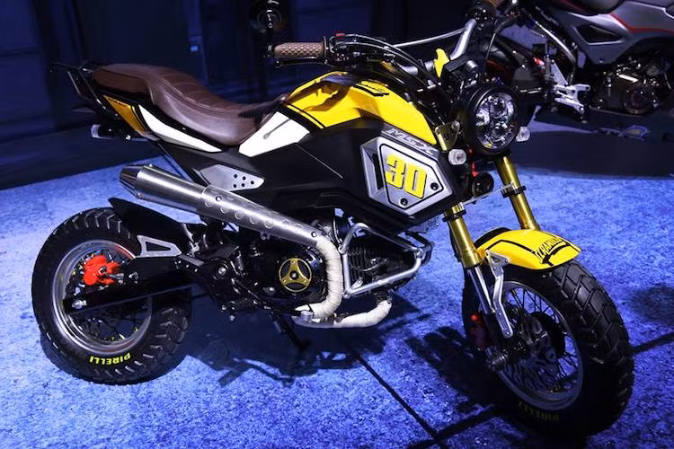 Bên cạnh việc ra mắt MSX 125, hãng xe Honda cũng đã hợp tác cùng hãng phụ tùng G-Craft của Nhật để thiết kế ra hàng loạt các phụ kiện tùy chọn cho chiếc xe. Những phụ kiện này rất đa dạng, từ các tấm ốp thân xe mới, túi đựng đồ móc ở yên sau, ốp pô tới pô và các khung bảo vệ cho động cơ hay đèn trước LED.