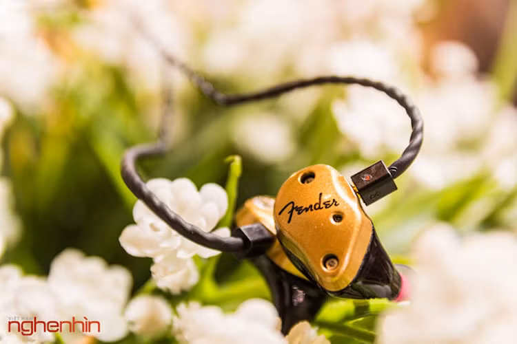 Với dân chơi đàn guitar thì cái tên Fender không còn xa lạ gì. Đây là một hãng nhạc cụ từ Mỹ chuyên sản xuất đàn guitar điện, đàn bass, Amply và loa dành cho đàn. Đầu năm nay, hãng đã quyết định mua lại Aurisonics cũng là một hãng âm thanh Mỹ nhưng chuyên về mảng tai nghe. FXA7 là cặp tai nghe cao cấp nhất trong loạt sản phẩm mà Fender ra mắt sau khi mua Aurisonics.