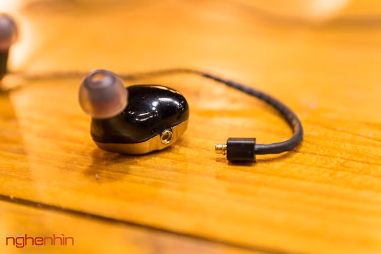 Phần mặt ngoài (faceplate) được làm bằng kim loại phủ màu vàng đồng khá đẹp. Trên mặt có in lô-gô của Fender, 2 con ốc và một ống thoát âm.