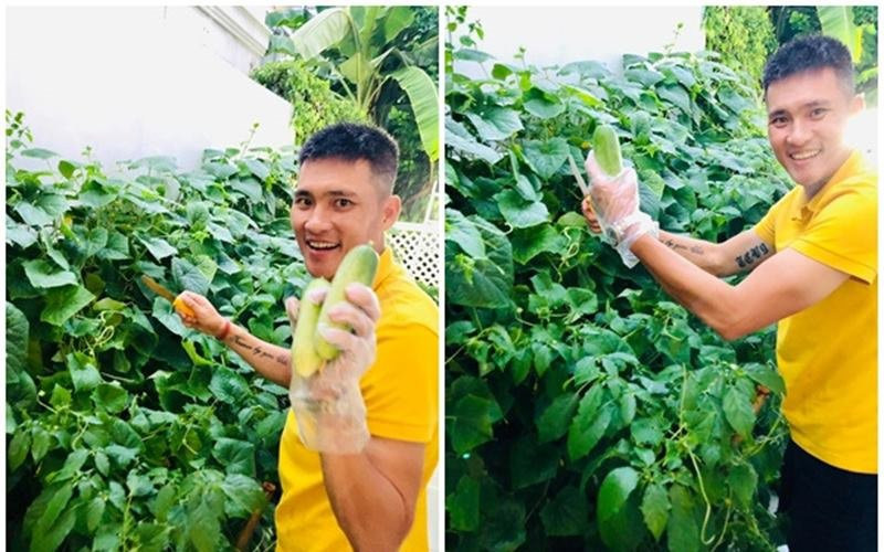 Mới đây Công Vinh hài hước chia sẻ vườn nhà mình với những loại cây quả trĩu trịt ăn không hết. Đặc biệt, cựu cầu thủ rao bán với giá "trên trời" khiến fan choáng váng.