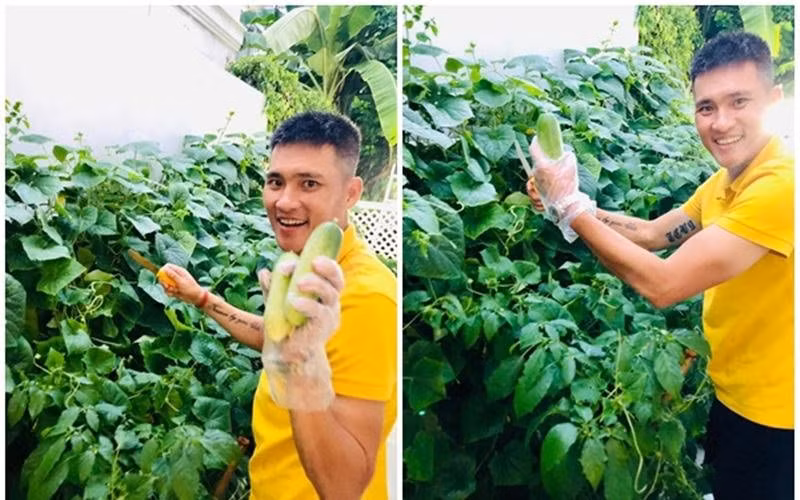 Mới đây Công Vinh hài hước chia sẻ vườn nhà mình với những loại cây quả trĩu trịt ăn không hết. Đặc biệt, cựu cầu thủ rao bán với giá "trên trời" khiến fan choáng váng.