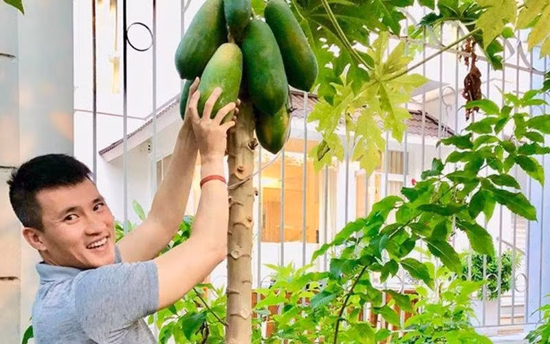 Ngay sau đó, cư dân mạng này hỏi bao nhiêu 1 kí dưa leo, chồng Thủy Tiên cho biết: "1 kg dưa leo giá 10 triệu nha em ơi, đã bao gồm phí cắt dưa của trai đẹp 9 triệu 980 nghìn nha".