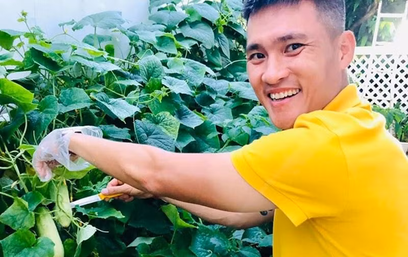 Dù bận nhưng những lúc rảnh rỗi, Thủy Tiên cùng ông xã lại đưa nhau ra vườn trồng rau, cải thiện sinh hoạt.