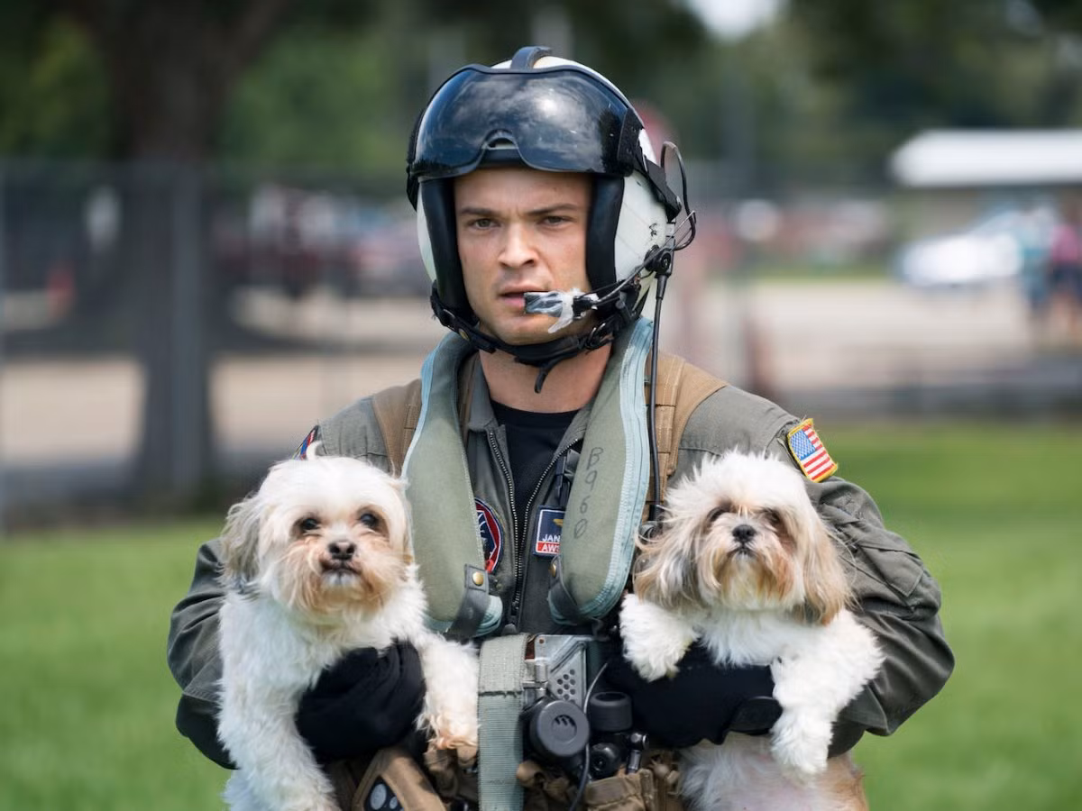 Thành viên của lực lượng cứu hộ của Hải quân Mỹ giải cứu hai chú chó trong cơn bão Harvey hồi cuối tháng 8. Nguồn ảnh: BI.