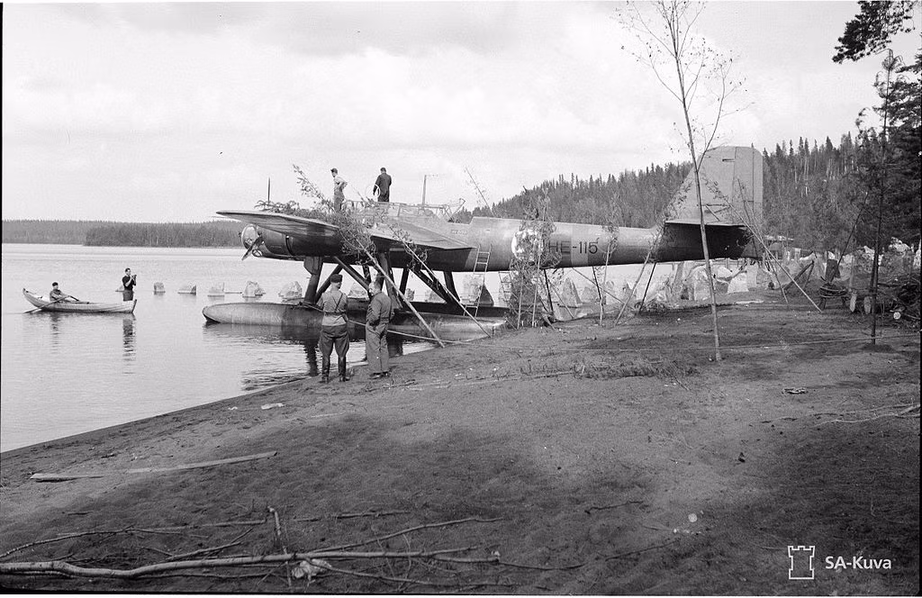 Máy bay được trang bị một khẩu súng máy MG 17 cỡ nòng 7,92 mm và một súng máy MG 15 cùng cỡ nòng, kèm theo đó là một quả mìn 920 kg hoặc 5 quả bom 250 km hoặc 1 ngu lôi 800 kg. Nguồn ảnh: SAkuwa.