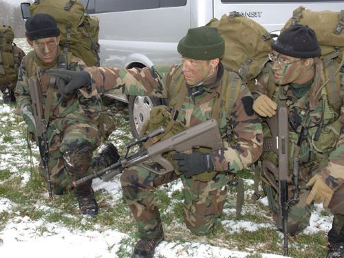 Hiện tại, quân đội Luxembourg đang có tổng cộng 450 lính chuyên nghiệp - bao gồm cả sĩ quan chỉ huy, 340 lính nghĩa vụ và khoảng 100 dân quân. Nguồn ảnh: Pinterest.