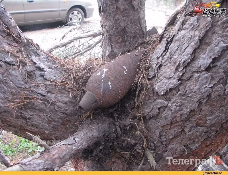 Ở châu Âu thậm chí còn có những cánh rừng được mệnh ranh là cánh rừng chết do có quá nhiều bom mìn còn sót lại sau chiến tranh. Nguồn ảnh: Sina.