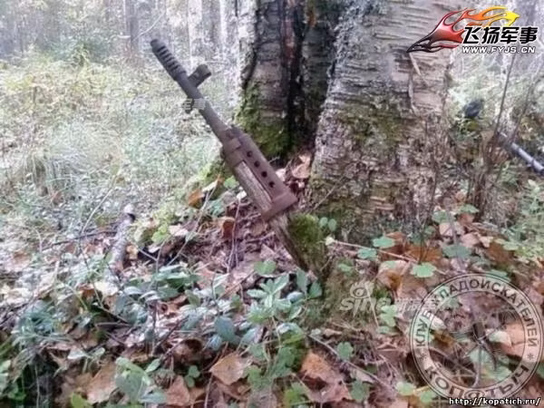 Một khẩu súng trường tấn công bị gốc cây nuốt chửng. Nguồn ảnh: Sina.