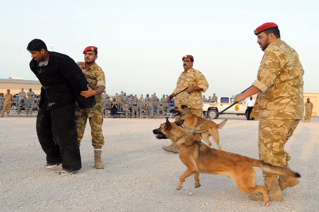 Dẫu cho Quân đội Qatar chọn lựa toàn những “tinh hoa kỹ thuật quân sự” của các quốc gia châu Âu, châu Mỹ, nhưng số lượng ít ỏi khiến các trang bị này khó mà làm nên sự đột phá trên chiến trường nếu vấp phải cuộc tấn công tổng lực từ Ả-rập Xê-út và đồng minh. Nguồn ảnh: Flickr.