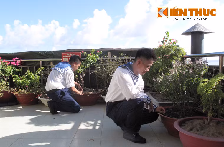 Những chậu cây cảnh và rau thơm như húng quế, đinh lăng trên đảo Len Đao cũng được người lính Hải quân chăm sóc rất cẩn thận.