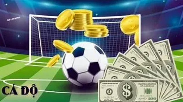 Bước đầu xác định từ đầu tháng 6/2024, Nguyễn Xuân Hùng quản lý, sử dụng 1 tài khoản đánh bạc cấp Master ký hiệu J13E11 để hoạt động đánh bạc trong kỳ Euro 2024. Hùng đăng nhập vào tài khoản đánh bạc thông qua các website của nhà cái, chia tài khoản để sử dụng đánh bạc và giao cho các đối tượng khác sử dụng. Tổng số tiền giao dịch đánh bạc qua tài khoản hơn 10 tỷ đồng. Phòng Cảnh sát hình sự Công an tỉnh Quảng Bình triệu tập, làm việc đối với 20 đối tượng, thi hành khám xét khẩn cấp chỗ ở của 2 đối tượng Nguyễn Xuân Hùng và Nguyễn Văn Thưởng; thu giữ 15 điện thoại di động, máy tính, các tài liệu có liên quan và 70 triệu đồng tiền mặt. (Ảnh minh họa) 