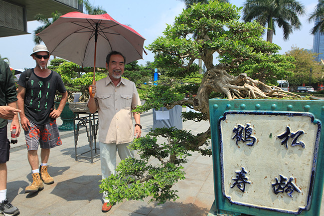 Theo chia sẻ của ông Huỳnh, cây sanh làm dáng huyền (thác đổ) đã khó, làm cây nguyệt quế dáng thác đổ khó hơn gấp nhiều lần. “Để tạo ra một tác phẩm như thế này không phải ngày một, ngày hai mà phải qua rất nhiều năm, có khi phải qua thế hệ này đến thế hệ khác”, ông Huỳnh nói.