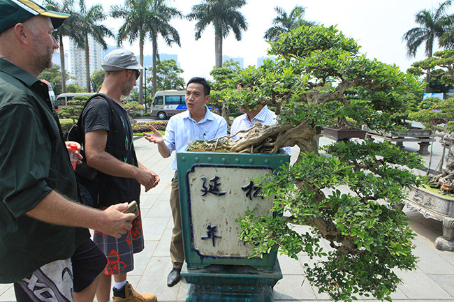 Theo ông Huỳnh, cây nguyệt quế là dòng tứ quý của miền Nam, hoa thơm quyến rũ và có bộ cành rất đẹp. Một thân trực, chuyển hướng cũng rất điệu đà. "Cây này gọi là “cửu lan hương” bởi mỗi nhánh ra 9 lá không như các dòng 5 lá hay 7 lá", chủ nhân tác phẩm cho hay.