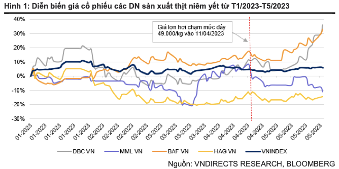 Giá heo hơi tăng, nên theo dõi doanh nghiệp niêm yết nào? Gia heo hoi tang, nen theo doi doanh nghiep niem yet nao?