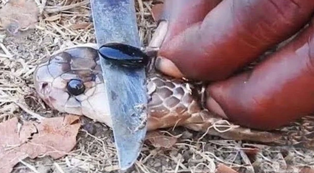 Can ham chua hang chuc tan “vang” va bo mat that cua nguoi dan ba gian xao-Hinh-2