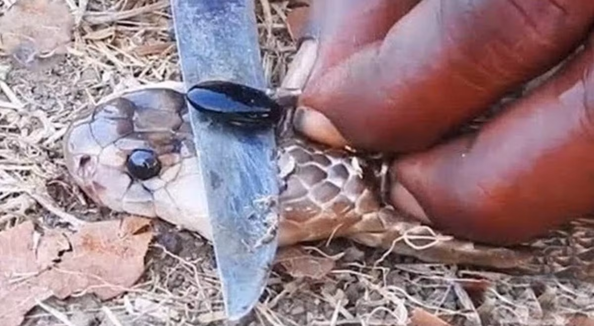 Can ham chua hang chuc tan “vang” va bo mat that cua nguoi dan ba gian xao-Hinh-2