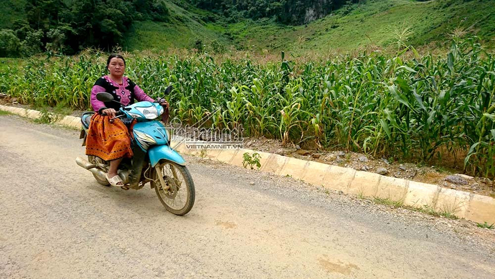 Lanh gay cung duong doc dao xuyen 