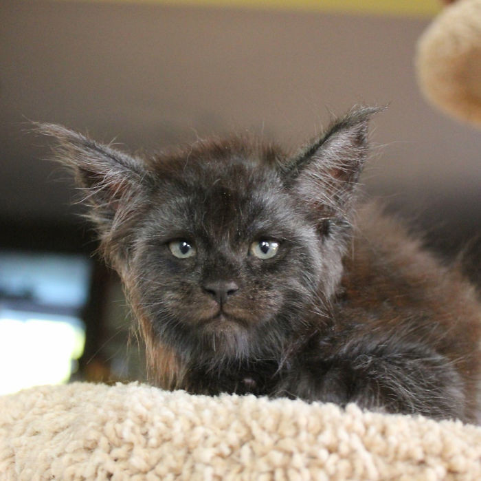 Tuy nhiên, tất cả những bức ảnh này đều là những bức ảnh gốc.