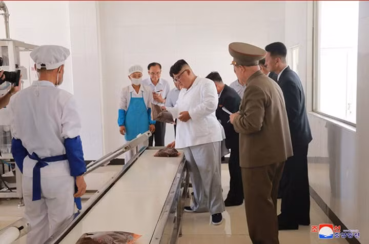 Ông Kim Jong Un kiểm tra một dây chuyền sản xuất.