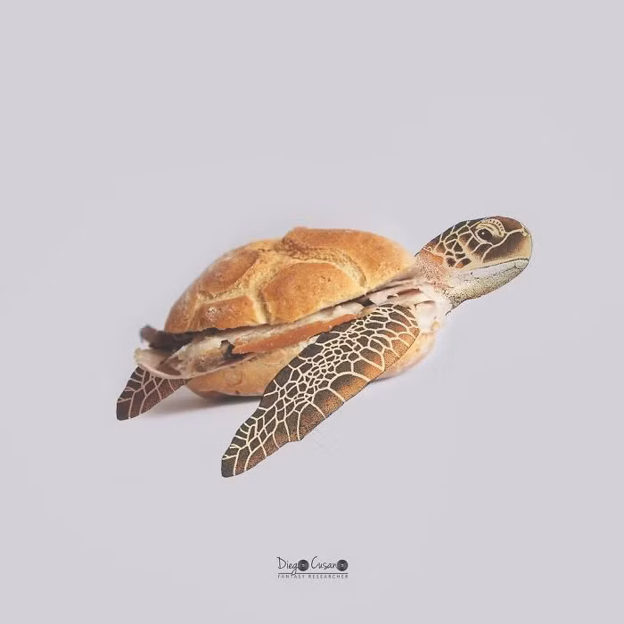 "Tôi nhìn nhận mọi thứ từ một quan điểm khác và từ cách tiếp cận mới này, tôi tạo ra các hình mình họa và đăng tải những hình ảnh thú vị này mỗi ngày trên mạng xã hội".