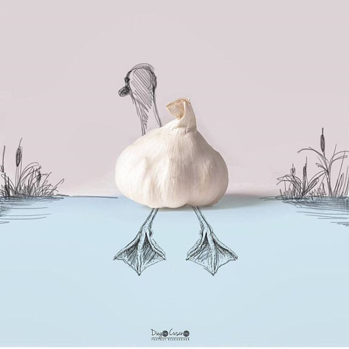 Củ tỏi biến hình thành một con vịt hết sức duyên dáng.