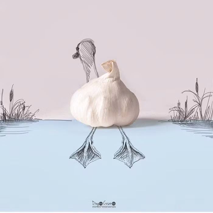 Củ tỏi biến hình thành một con vịt hết sức duyên dáng.