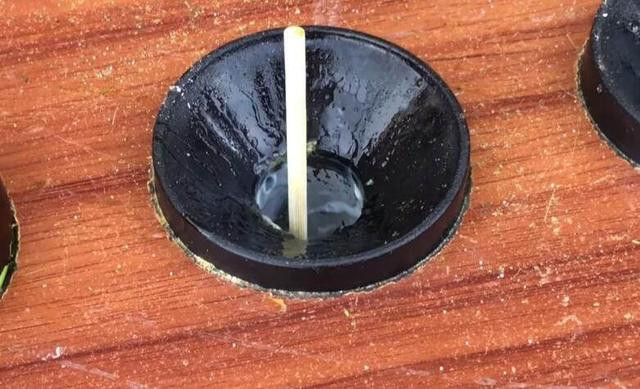 Cắm que vào lỗ và chờ trong 1 phút để thành phẩm ra lò