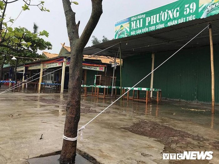 Lều quán, ki ốt, cửa hàng ở thị xã Cửa Lò được néo chặt với các gốc cây.