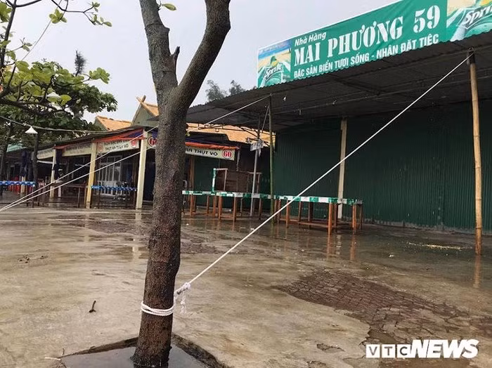 Lều quán, ki ốt, cửa hàng ở thị xã Cửa Lò được néo chặt với các gốc cây.