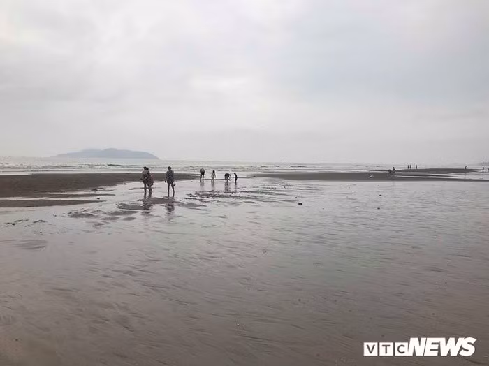 Trong khi nhiều người lên bờ khi được cảnh báo, vẫn còn những du khách phớt lờ hướng dẫn của lực lượng chức năng, tiếp tục ở lại bãi biển.