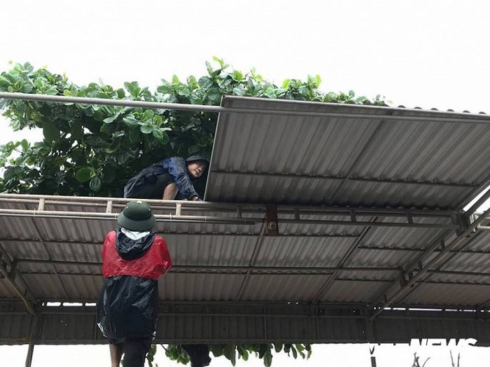 Người dân đang gấp rút cột các mái tôn.