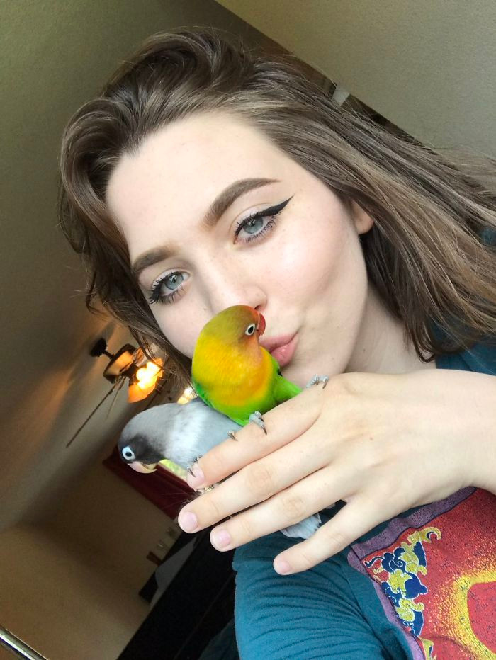 Mới đây, cô gái trẻ Maura T. Hennelly, 19 tuổi chia sẻ câu chuyện tình yêu của vẹt uyên ương nhà mình trên mạng xã hội, thu hút chú ý với nhiều tình tiết hấp dẫn.