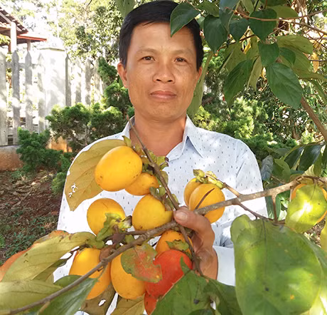 Vung dat nay khong chi co sam ma con co dac san hong gion