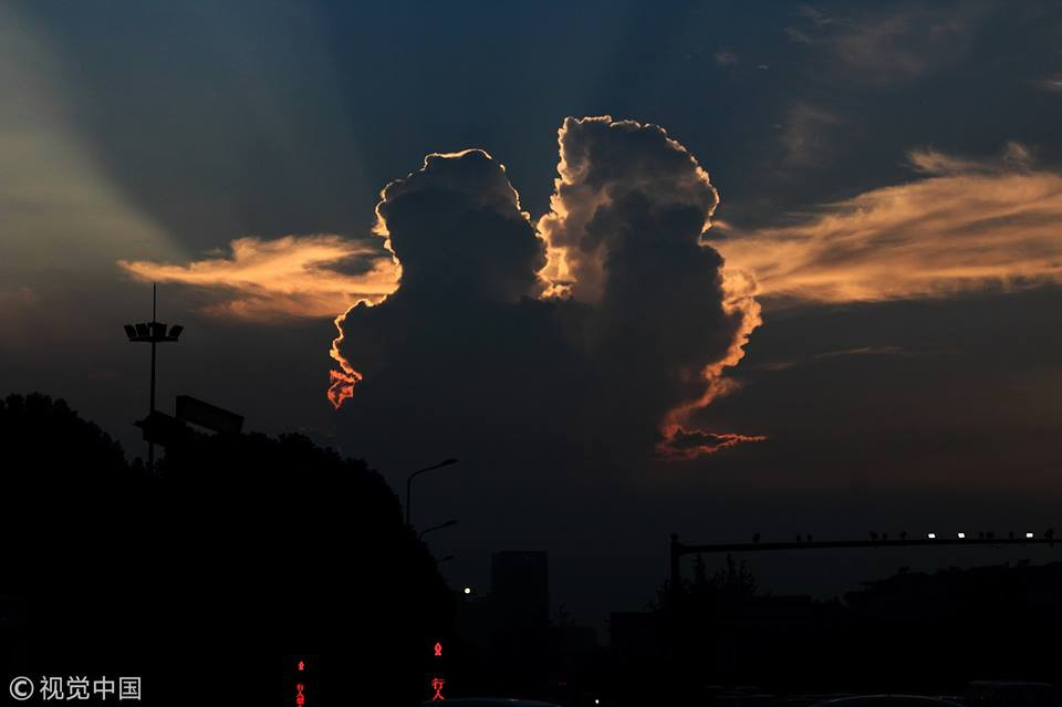 Dam may doi “tinh tu” khien nguoi doc than phai ghen ti-Hinh-2