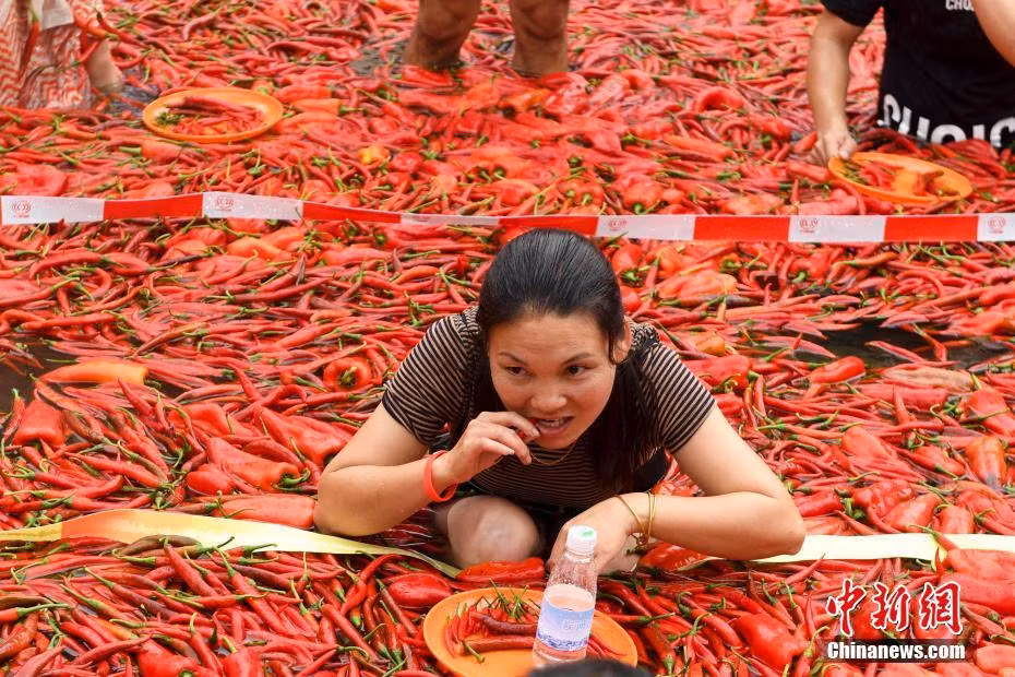 Mặc dù diễn ra vào ngày hè, cuộc thi ăn ớt quy mô lớn ở Hồ Nam vẫn diễn ra rất hào hứng. Cả người chơi và người cổ vũ đều rất nhiệt tình, tạo nên bầu không khí sôi động.