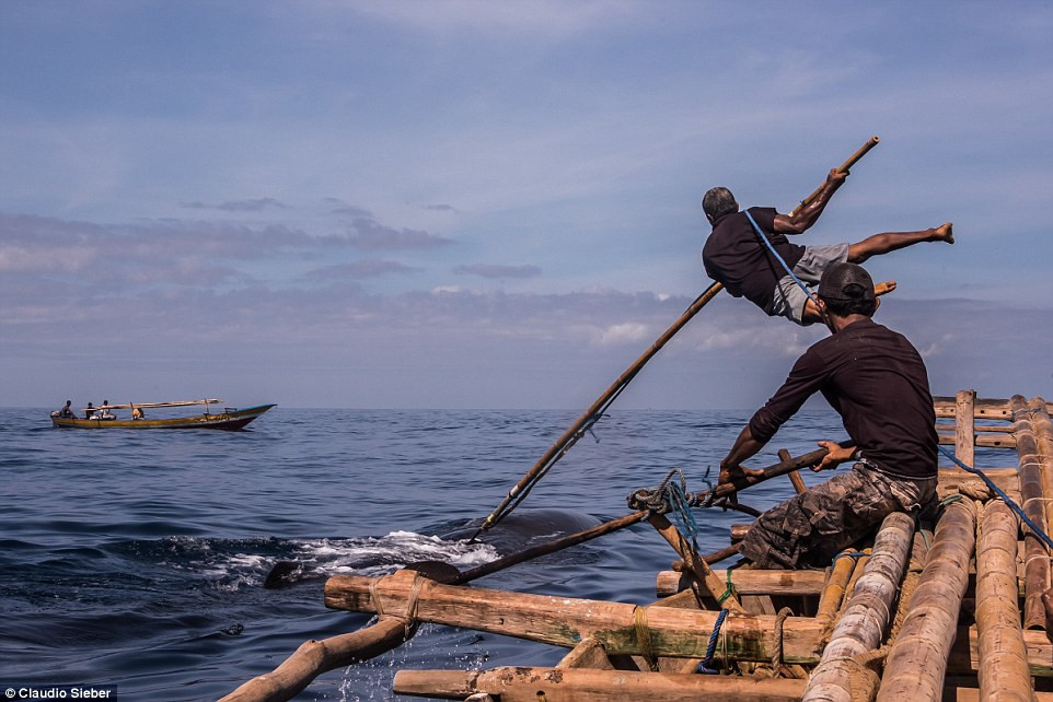 Năm 2010, một số nhà nghiên cứu ở Indonesi và WWF đã đến đảo để thảo luận về vấn đề bảo vệ cá voi. Tuy nhiên, các nhà nghiên cứu không hề được chào đón. Ngư dân ở đảo giận dữ và trục xuất các nhà nghiên cứu khỏi đảo. Tính đến thời điểm hiện tại, chính phủ Indonesia vẫn chưa có phương án cuối cùng để giải quyết triệt để vấn đề này.