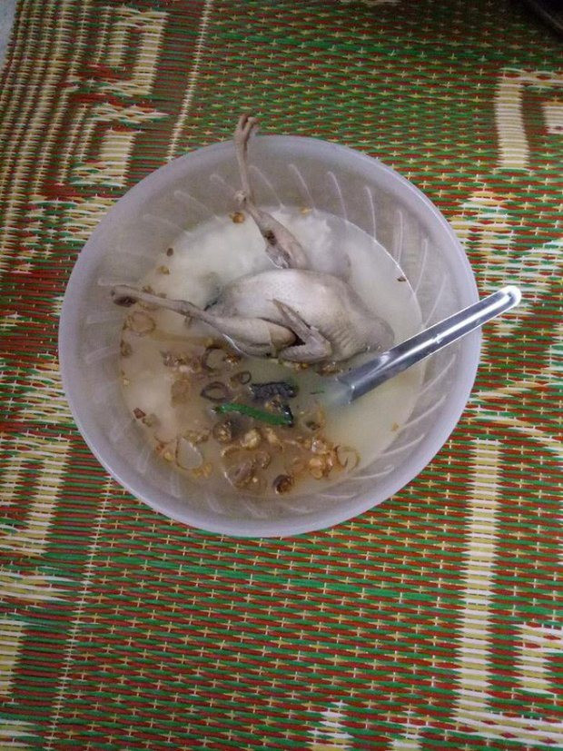 Bạn có tin đây là bát cháo chim không?