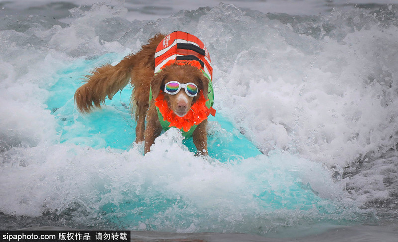 Thậm chí, cuộc thi này còn mang đến nhiều niềm vui, tiếng cười hơn cho mọi người.