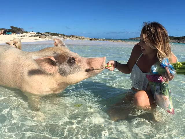 Dan lon noi tieng tan cong dan my nhan xinh dep-Hinh-2