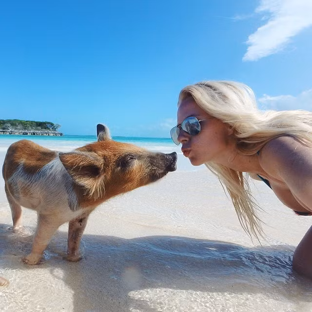 Dan lon noi tieng tan cong dan my nhan xinh dep-Hinh-3