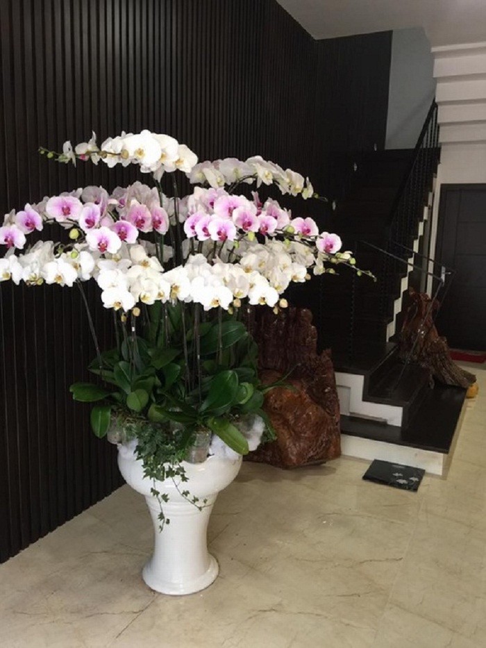 Nội thất sang trọng bên trong căn hộ 7 tỷ đồng của NSƯT Quang Tèo.